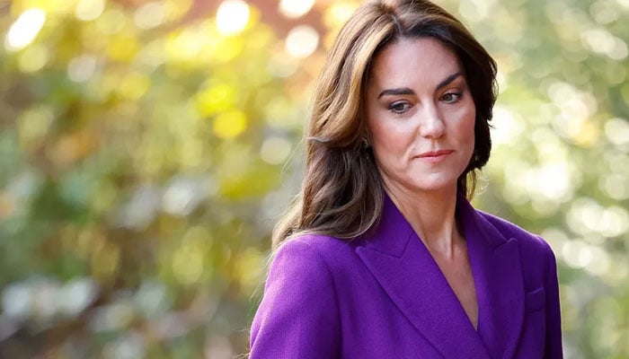 Kate Middleton portrait attacked for ‘dreadful look