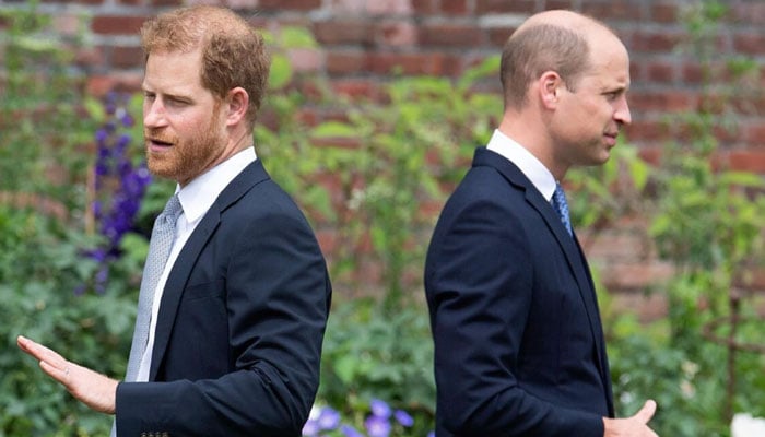 Prince William, Prince Harry reunion dubbed a ‘fantasy: ‘Its not about apologies