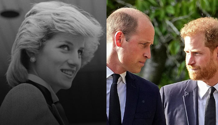 Prince William, Prince Harry unable to carry on mom Dianas legacy