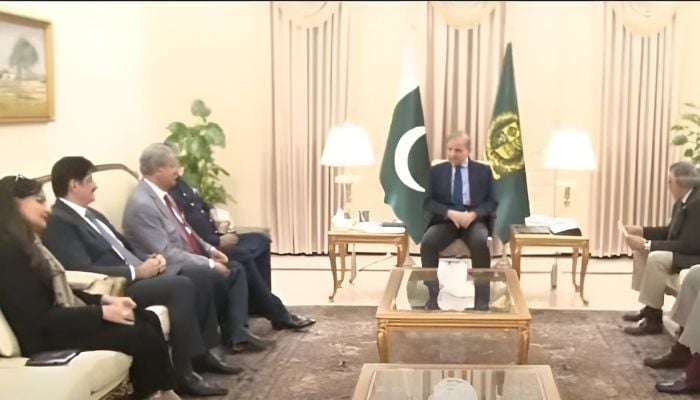 PM Shehbaz, PPP leadership discuss budget 2024-25