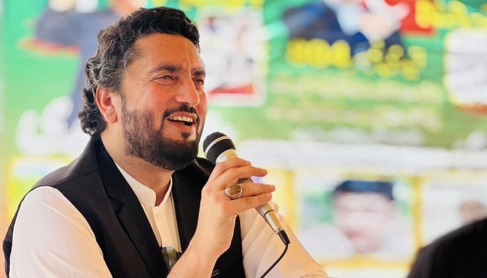 Maintaining silence over party issues for sake of unity, founders respect: Shehryar Afridi