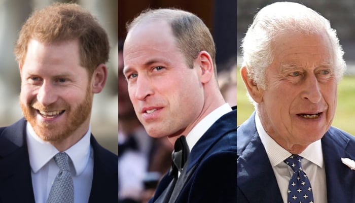 Prince Harry ‘let down by King Charles, Prince Williams ‘bitterness