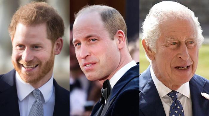 Prince Harry ‘let Down By King Charles Prince Williams ‘bitterness