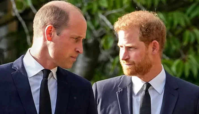 Prince Harrys reaction on losing military role to Prince William revealed