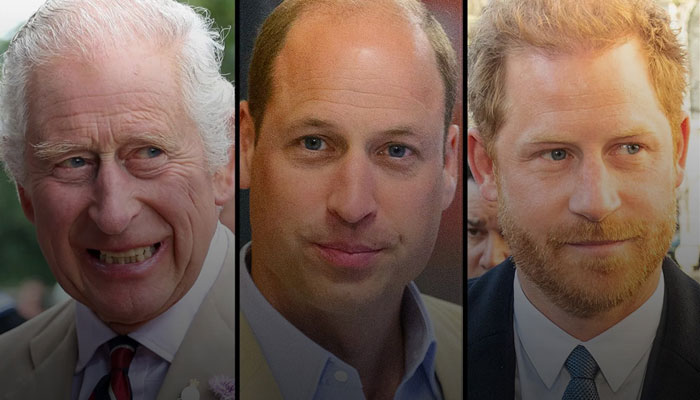 Prince Harry, Meghan Markle keep King Charles, William on edge with their plans