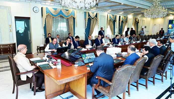 PM Shehbaz seeks minimum loadshedding amid heatwave