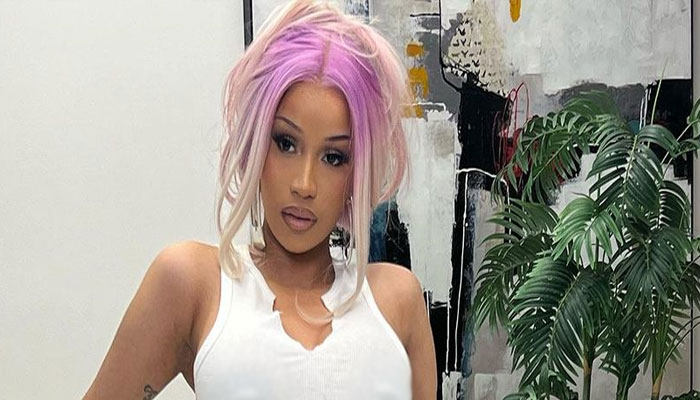 Cardi B gets schooled again after responding to body shaming trolls