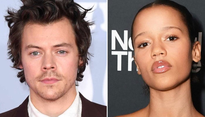 Harry Styles tries distraction after Taylor Russell breakup?