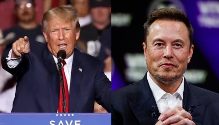 Donald Trump might ask Elon Musk to join White House if re-elected