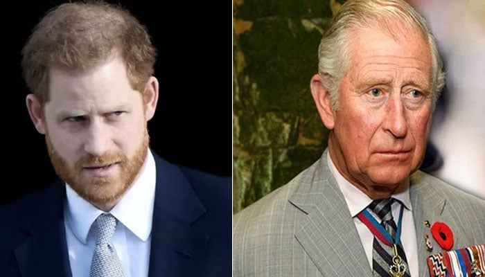 Prince Harry putting King Charles relationship with the US at risk