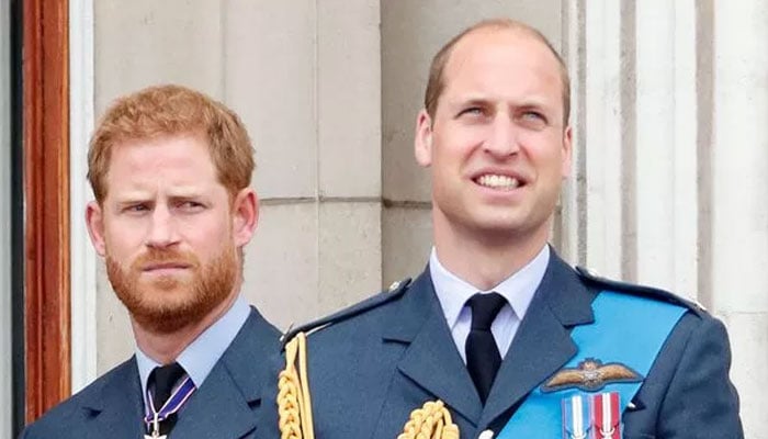 Prince Harry waiting for William to become King before making major move?