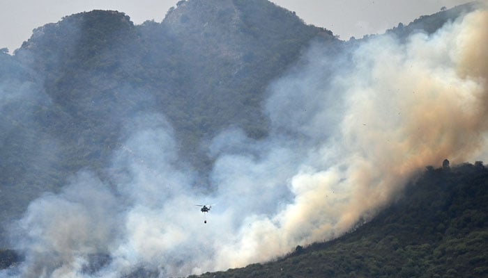 اسلام آباد کی مارگلہ ہلز میں جنگلات میں آگ بھڑکانے والے تین افراد گرفتار