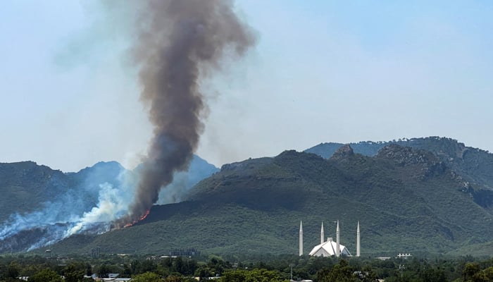 Another fire on Margalla Hills doused as heatwave sweeps Pakistan