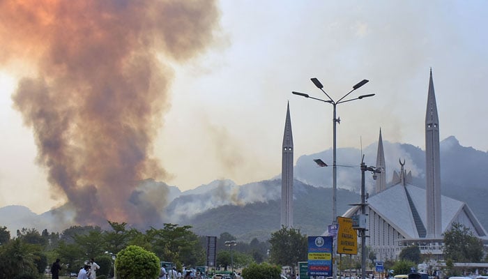 Islamabads Margalla Hills fire due to mischief, negligence, not natural: official