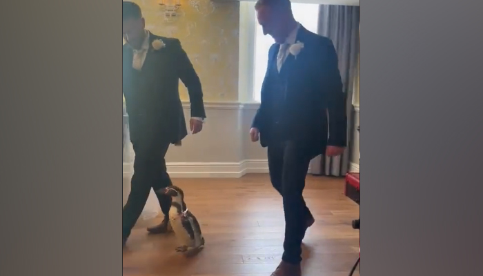 WATCH: Bride has happiest feet after grooms surprise wedding gift