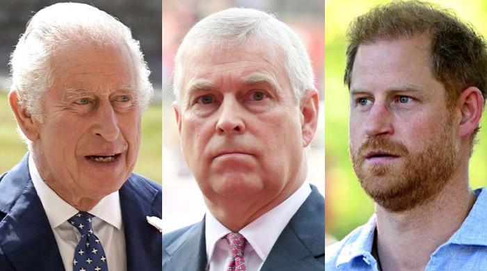 King Charles moves to solve Prince Andrew, Prince Harry ‘problems at once’