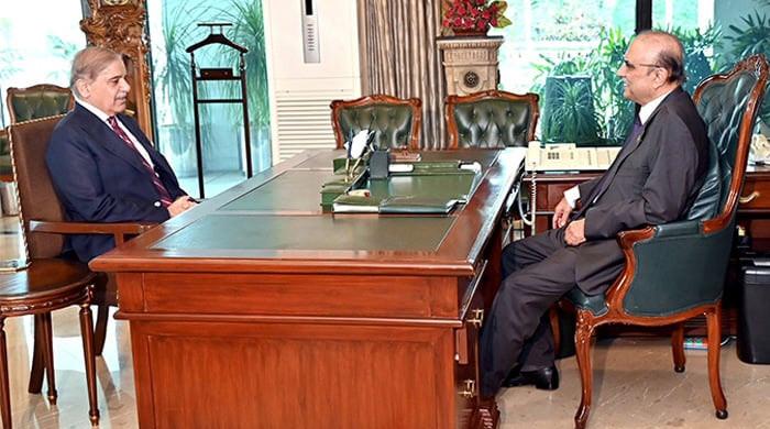 President Zardari forms National Economic Council, names PM Shehbaz its chairman – M Haris