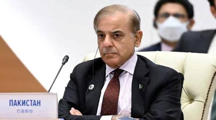 PM Shehbaz may dissolve National Assembly within three months, claims PPP leader – M Haris