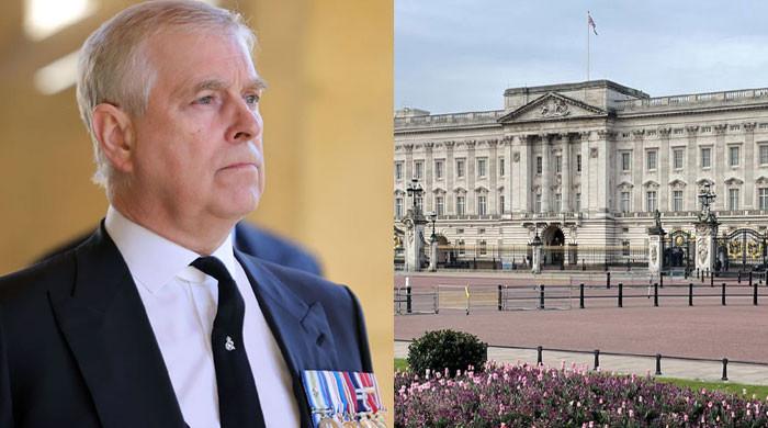 Prince Andrew’s friends urge King Charles to drop ‘cruel’ campaign against brother