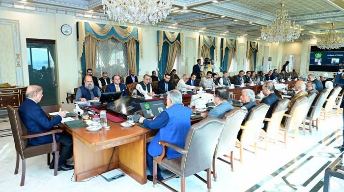 PM Shehbaz to review development programmes in NEC meeting today – M Haris