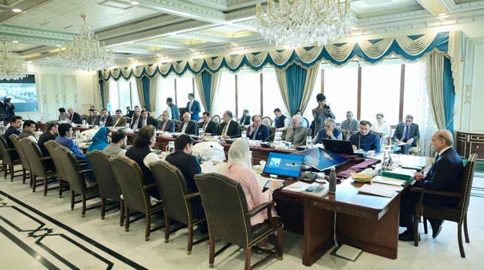 NEC approves 5-year development plan, economic growth target for FY25 M Haris