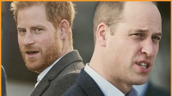 Prince Harry hopes to reconnect with Prince William as royal feud escalates