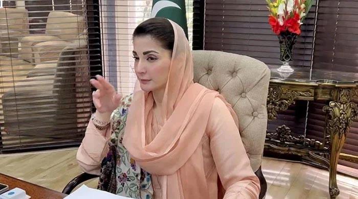 Punjab’s majority satisfied with CM Maryam’s govt performance: survey – M Haris