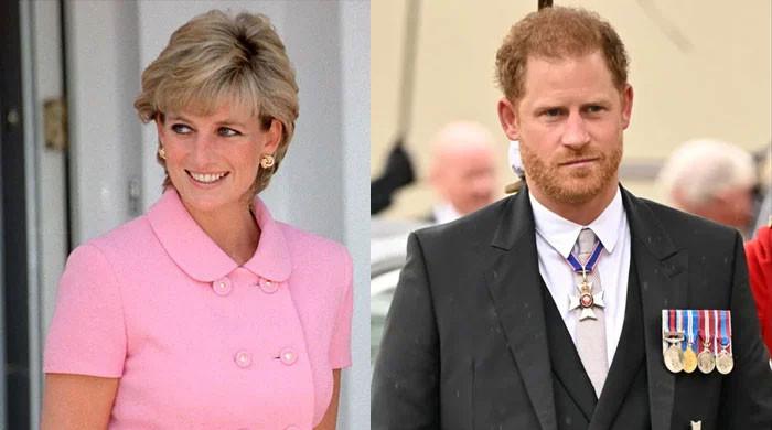 Prince Harry follows in mom Princess Diana's footsteps by criticizing ...