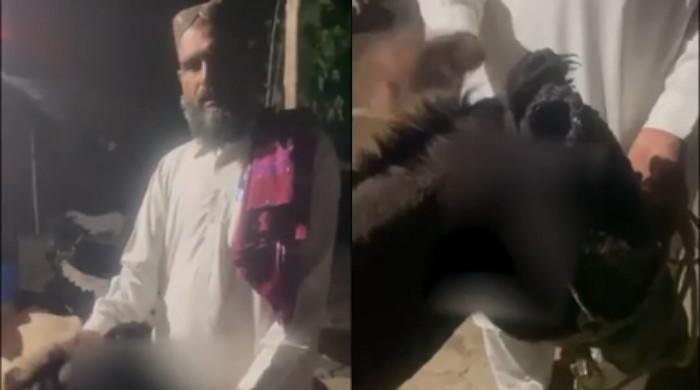Rawalpindi man chops off female donkey's ears in another incident of animal cruelty
