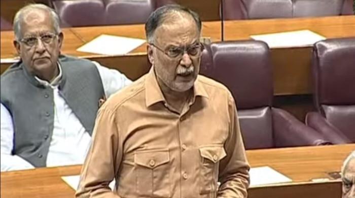 Planning minister proposes to constitute committee to probe lynching incidents – M Haris