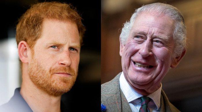 King Charles ‘carefully’ planning reconciliation with Prince Harry