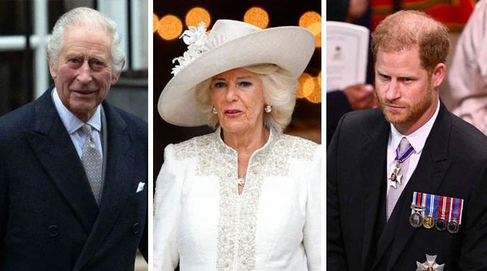 King Charles to leave Prince Harry ‘on his own’ if Camilla problem is not fixed