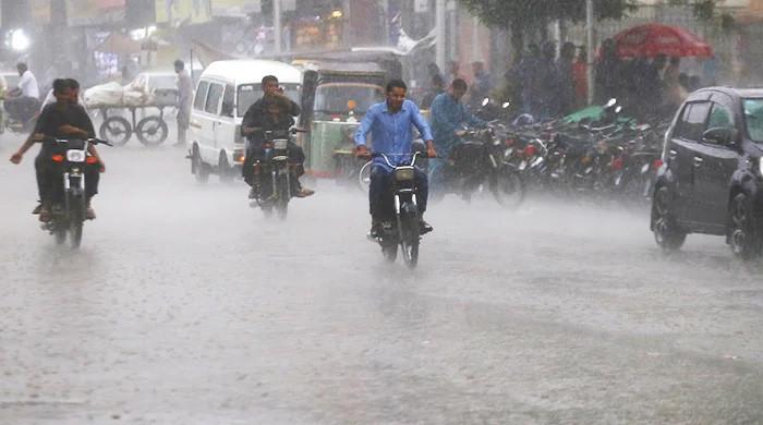 Punjab put on alert amid prediction of ‘more than normal’ rains – M Haris