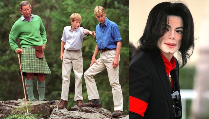 Michael Jackson was once scheduled to meet Prince Harry and Prince William after Princess Diana's death.