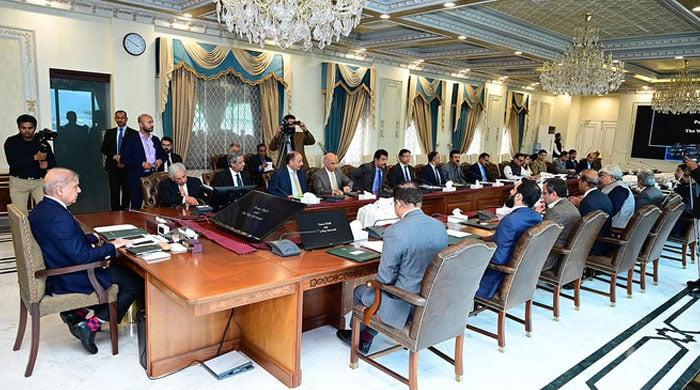 Federal cabinet ‘greenlights’ operation Azm-e-Istehkam – M Haris