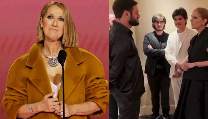 Celine Dion enjoys Hausers concert with twin sons
