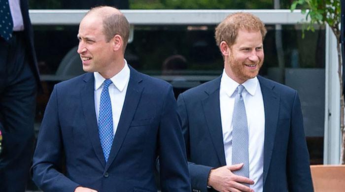 Prince Harry to throw himself at Prince William’s feet to end feud