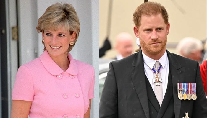 Prince Harry believed mum Diana wanted him to be sad: Heres Why