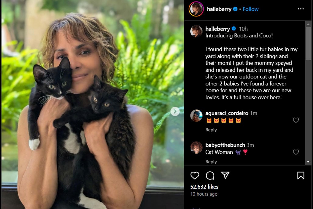 Halle Berry welcomes two adorable members of the family