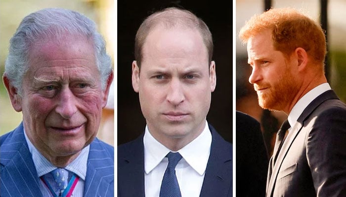 Prince William, King Charles uniting over shared interest against Prince Harry
