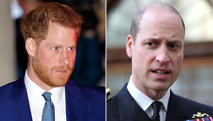 Prince Harry gets slapped and hit with a massive ban by Prince William
