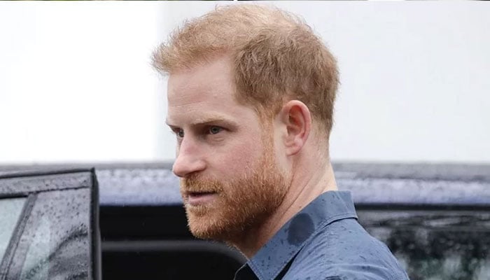 Prince Harry trying to go it alone amid anger and frustration