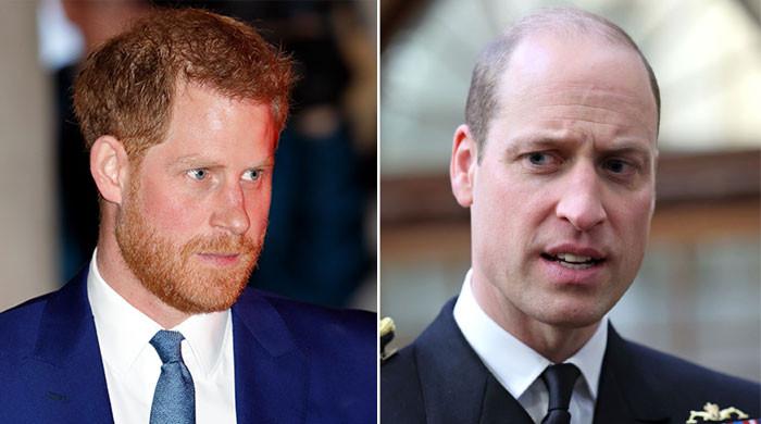 Prince Harry gets slapped and hit with a massive ban by Prince William