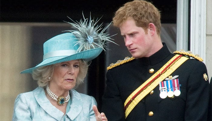 Queen Camilla pays tribute to Prince Harry amid rift with royal family?