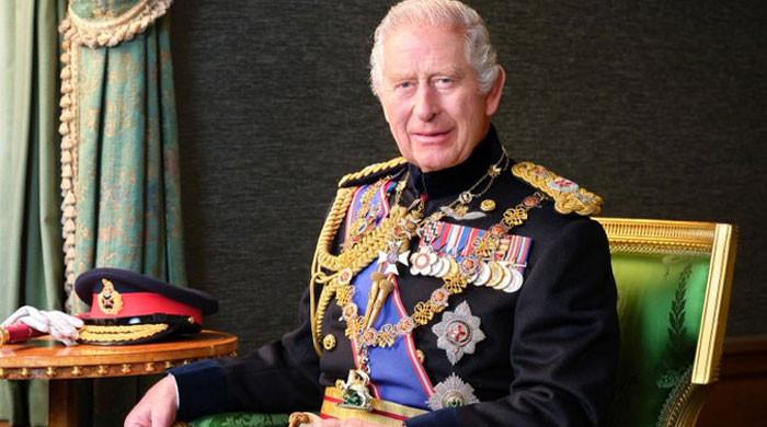 Buckingham Palace releases King Charles new portrait