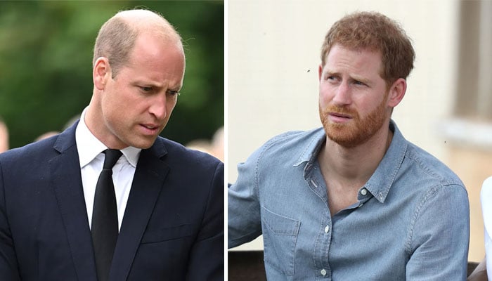 Prince Harry, Meghan Markle fighting a Hollywood battle against Prince William