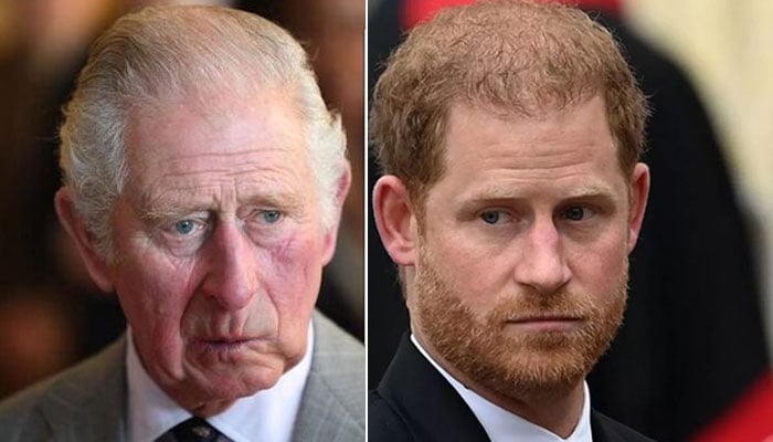 Prince Harry under fire for insincere attitude towards King Charles