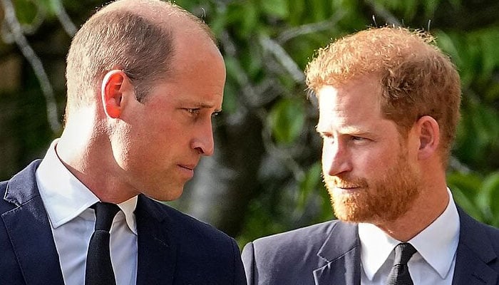 Prince Harry demanded time as Prince William plate is full