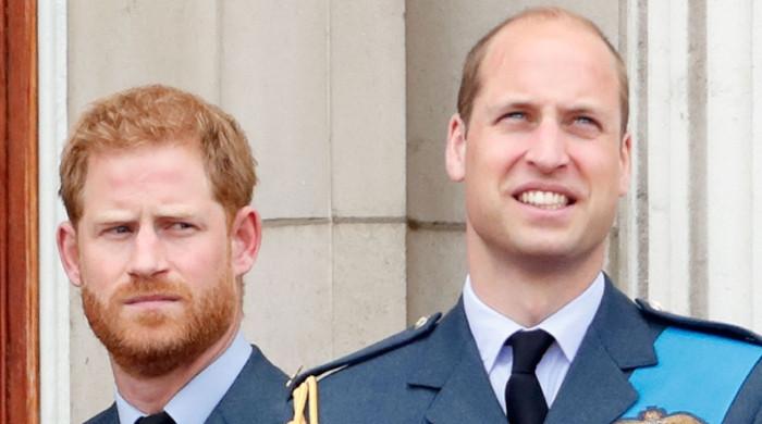 Prince William got no time for Prince Harry's ‘troubling antics'