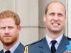 Prince William got no time for Prince Harry's ‘troubling antics'